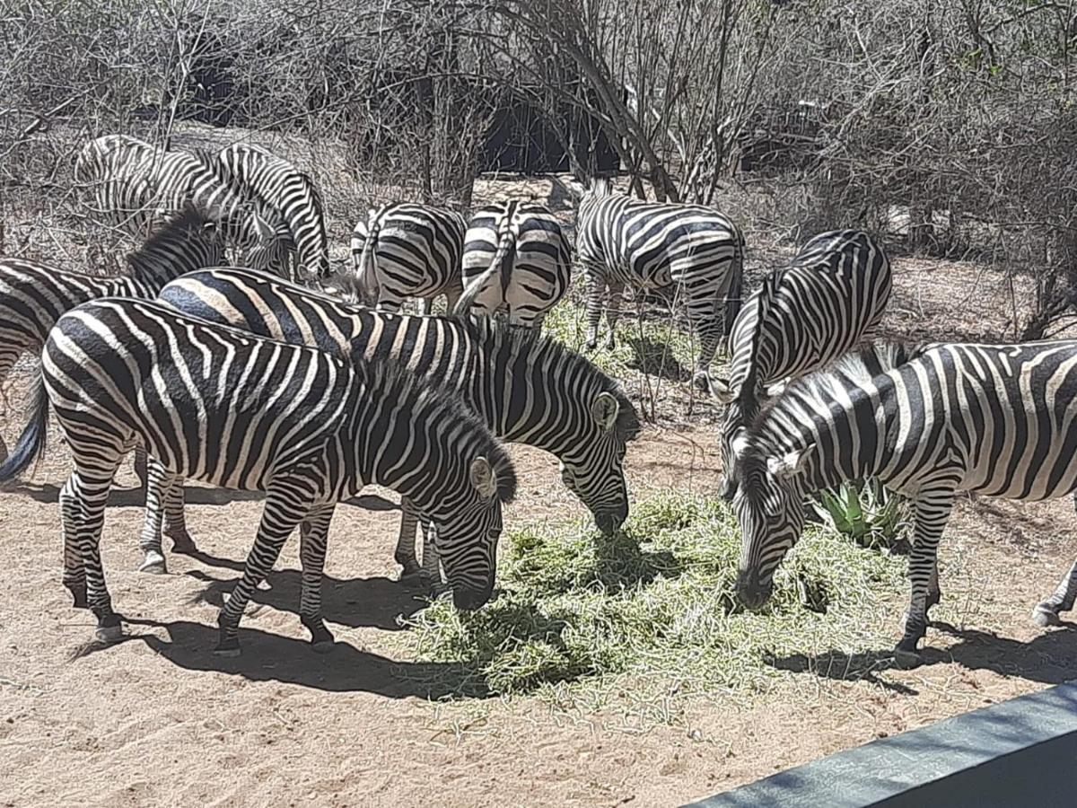 African Bush Escape Marloth Park Eksteriør bilde