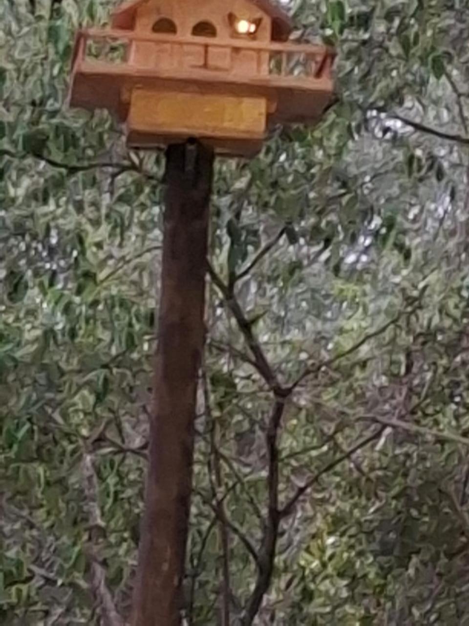 African Bush Escape Marloth Park Eksteriør bilde