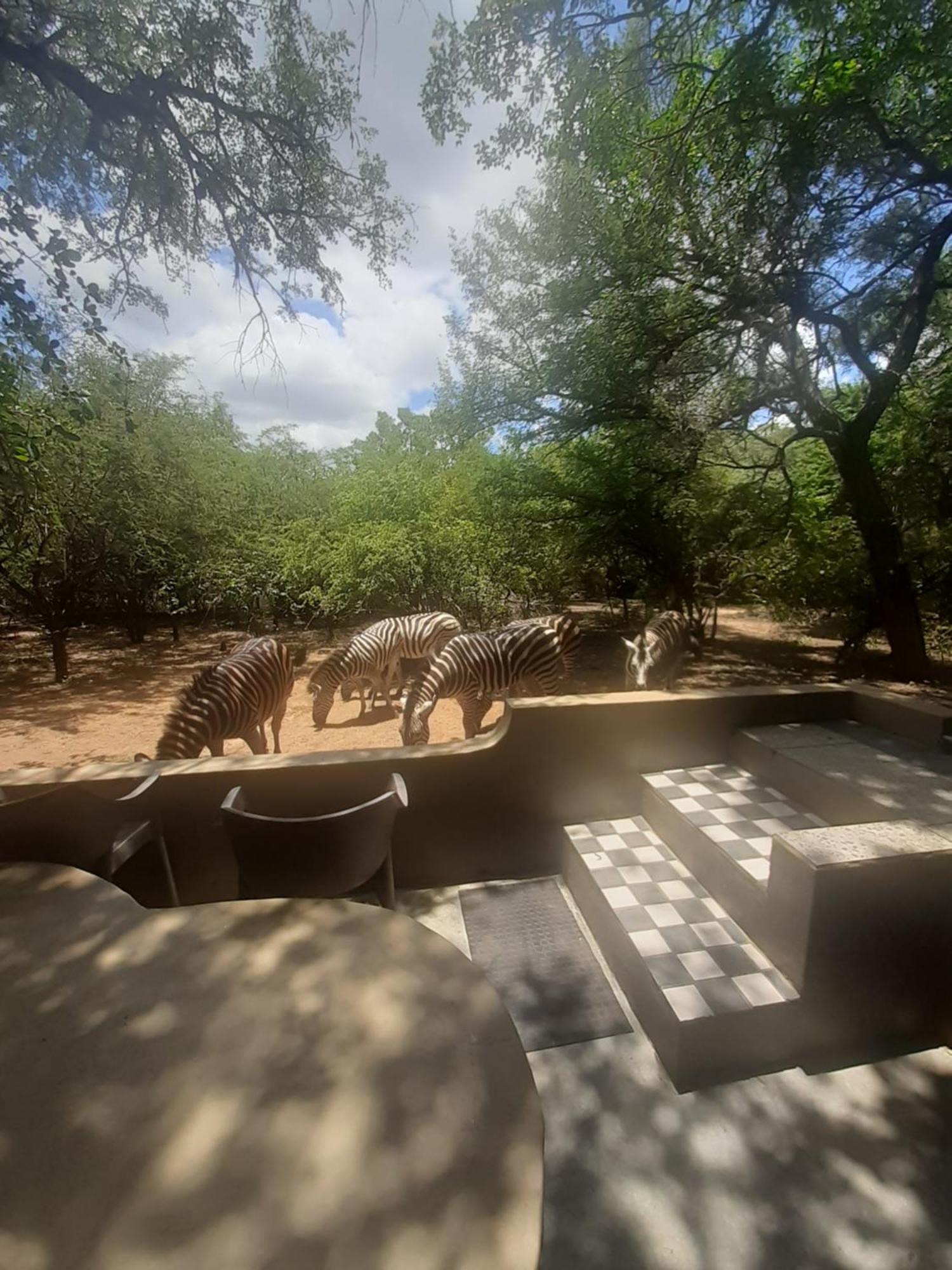 African Bush Escape Marloth Park Eksteriør bilde