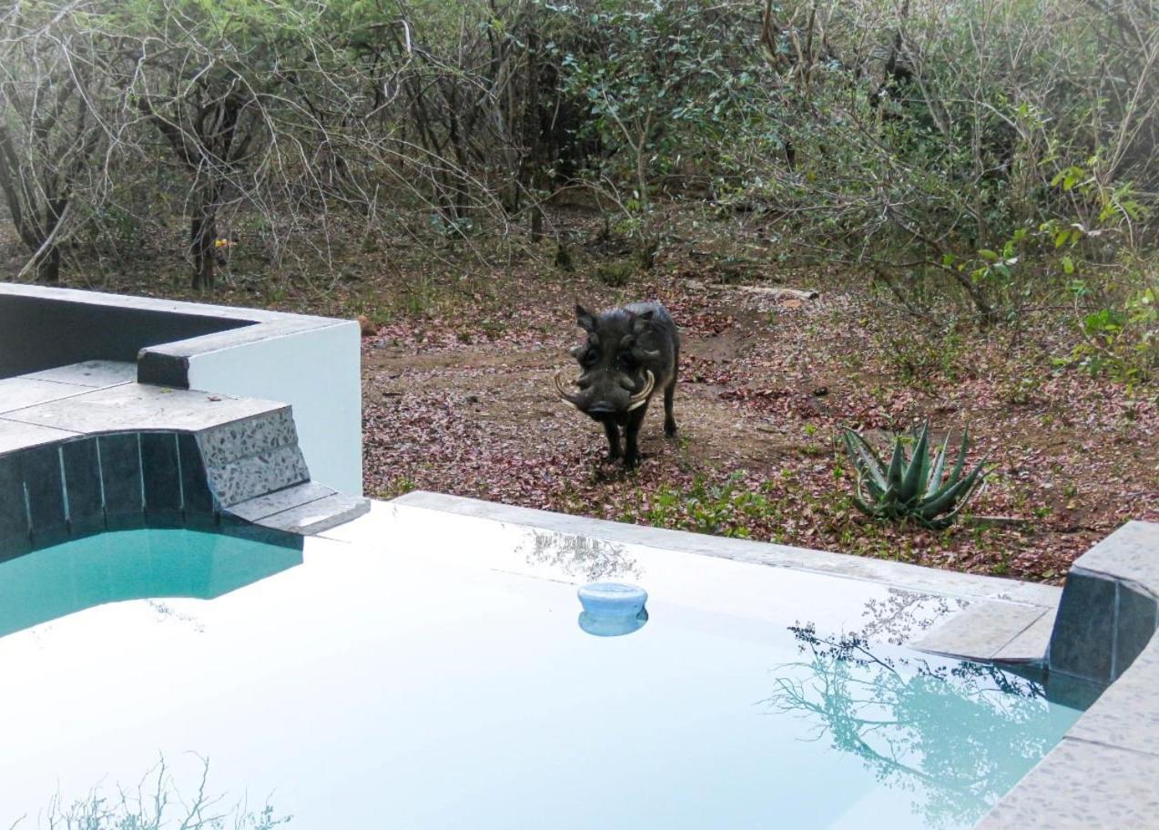 African Bush Escape Marloth Park Eksteriør bilde